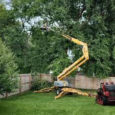 Best Storm Damage Tree Cleanup  in Bonifay, FL